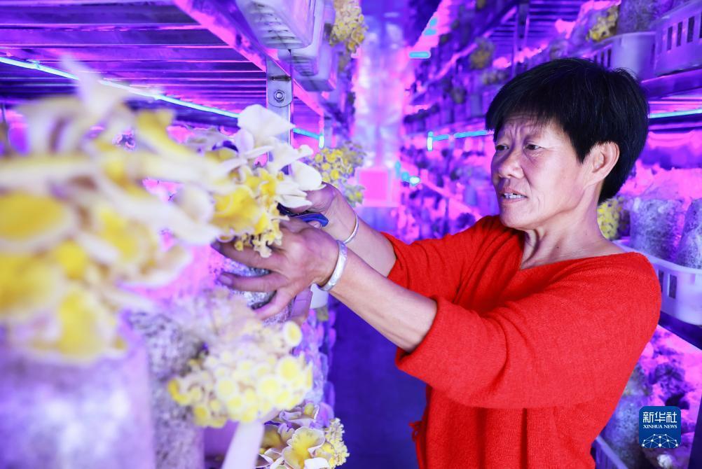 捕鱼厅娱乐官方网站
